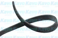 KAVO PARTS DMV-6553 Поликлиновой ремень