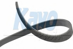 KAVO PARTS DMV-9096 Поликлиновой ремень